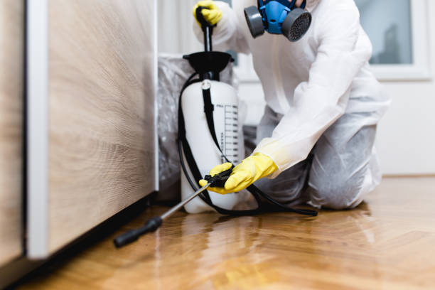 Best Mosquito Control Services  in Fowlkes, TN