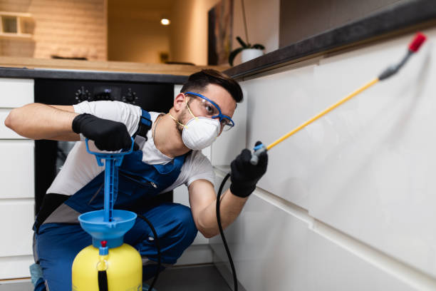 Best Flea Control Services  in Fowlkes, TN