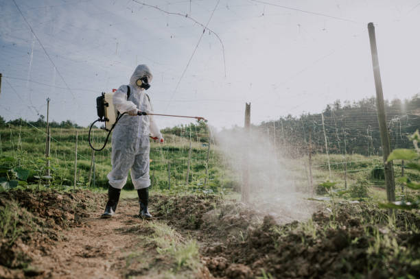 Best Mosquito Control Services  in Fowlkes, TN