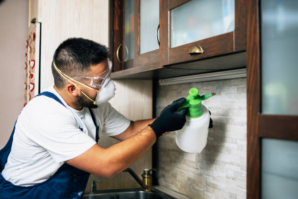 Best Cockroach Control Services  in Fowlkes, TN