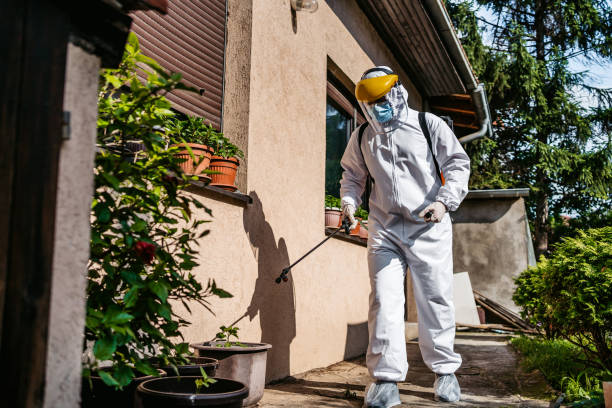 Best Mosquito Control Services  in Fowlkes, TN
