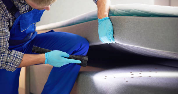 Best Best Pest Control Companies  in Fowlkes, TN