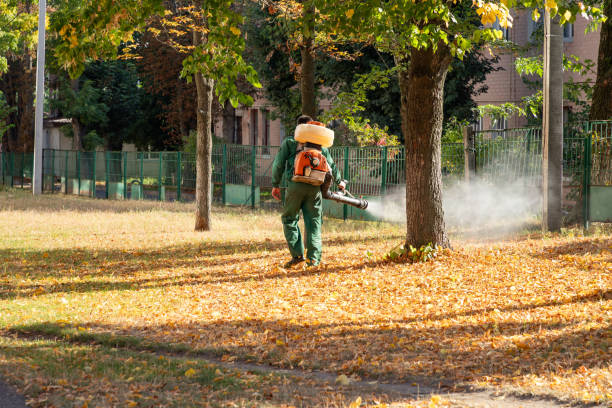 Best Wasp Removal Services  in Fowlkes, TN