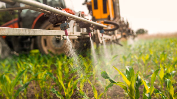 Best Pest Control Treatment  in Fowlkes, TN